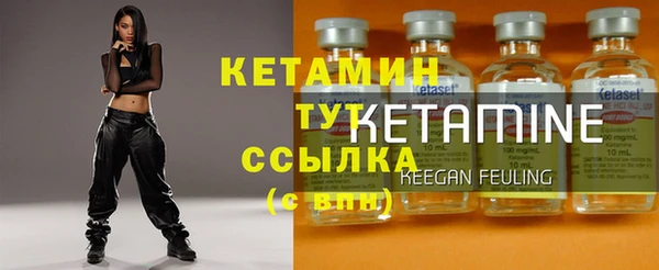 стаф Арсеньев