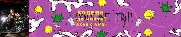 стаф Арсеньев