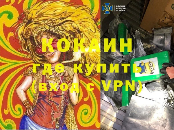 стаф Арсеньев