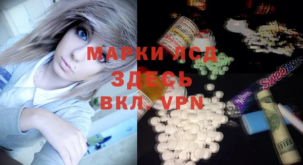 стаф Арсеньев