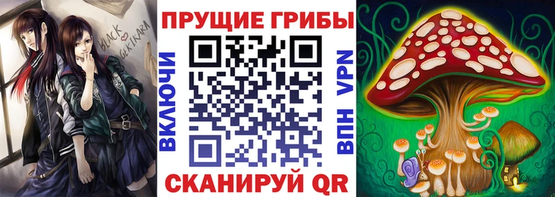 Псилоцибиновые грибы ЛСД Сельцо