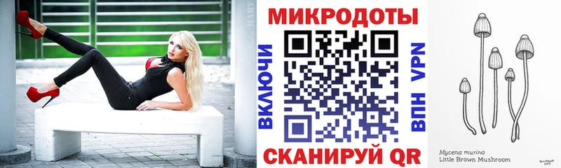 Галлюциногенные грибы Psilocybe  Сельцо 