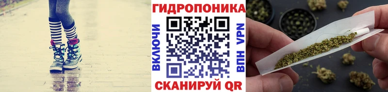 где найти   Сельцо  Конопля Bruce Banner 